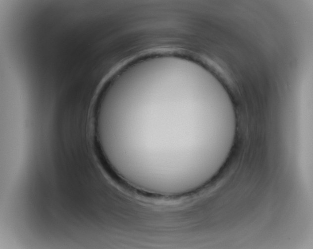 X0000114650016200910201010