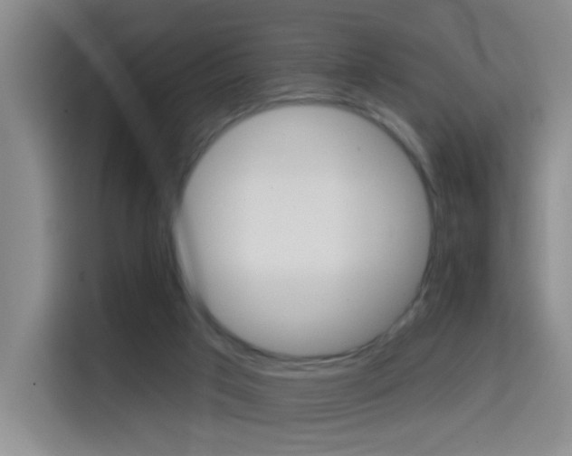 X0000114650017200910201010