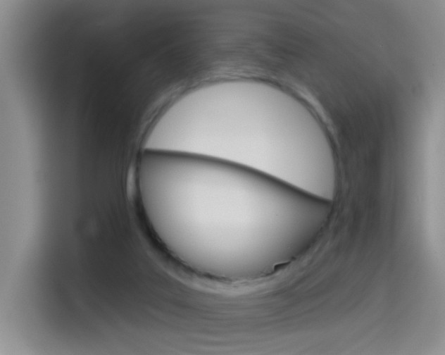X0000114650019200910201010