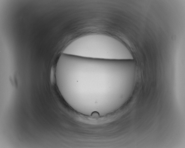 X0000114650022200910201010
