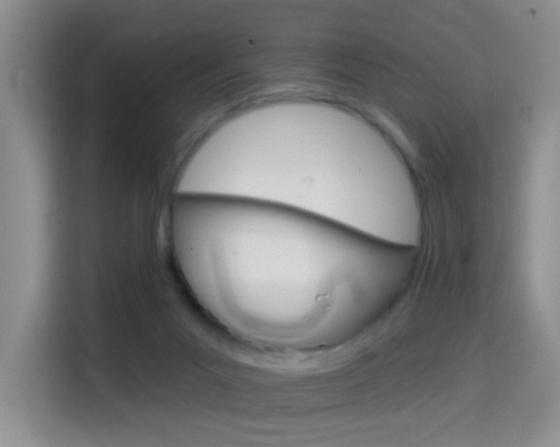 X0000114650023200910201010
