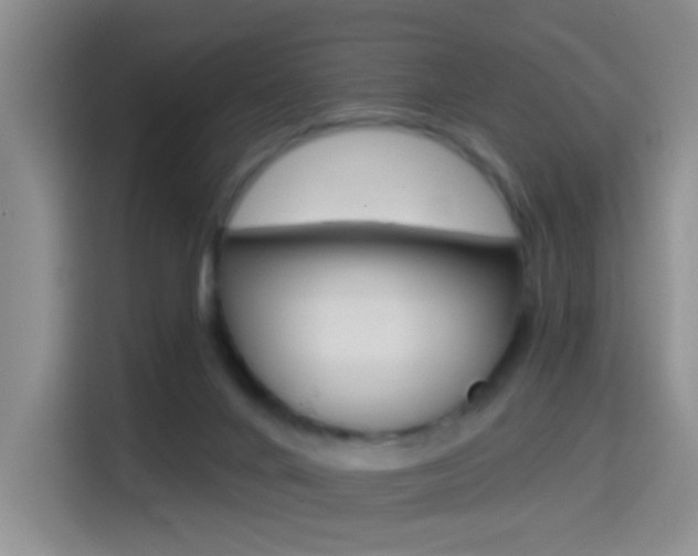 X0000114650024200910201010