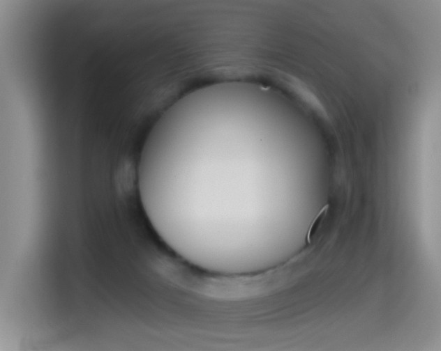 X0000114650025200910201010