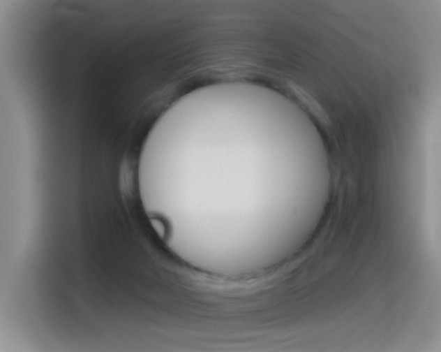X0000114650026200910201010