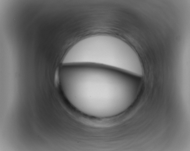X0000114650028200910201010
