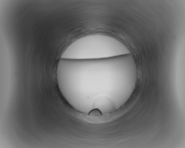 X0000114650030200910201010