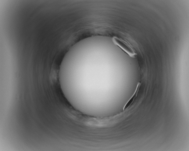 X0000114650033200910201010