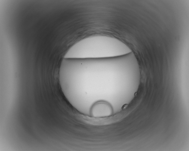 X0000114650034200910201010