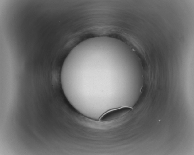 X0000114650035200910201010
