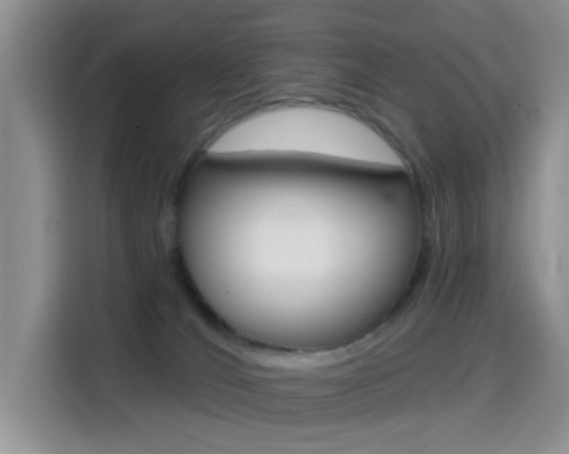 X0000114650036200910201009