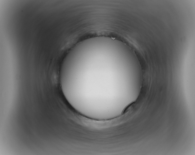 X0000114650039200910201009