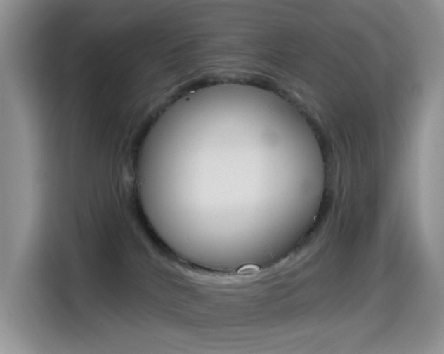 X0000114650040200910201009