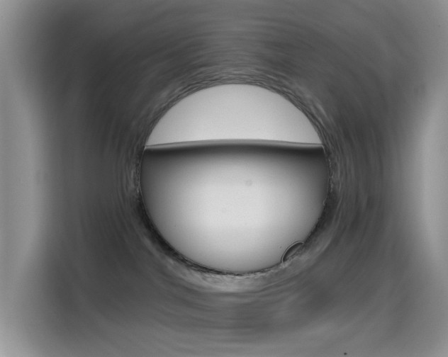 X0000114650044200910201009