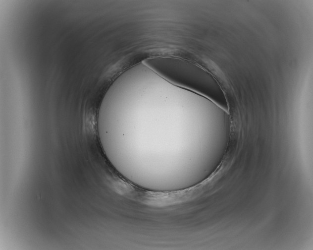 X0000114650045200910201009