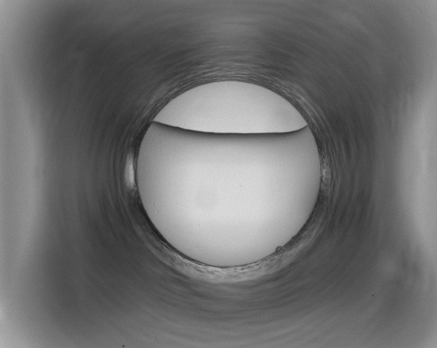 X0000114650046200910201009