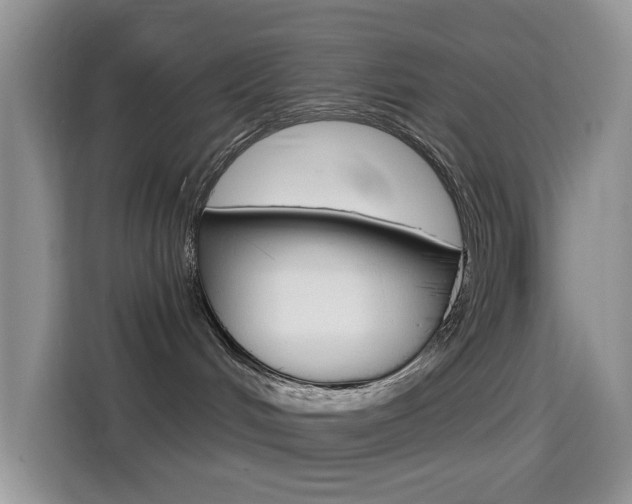 X0000114650048200910201009