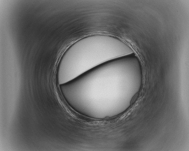 X0000114650049200910201009