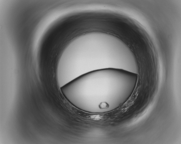 X0000114650050200910201009