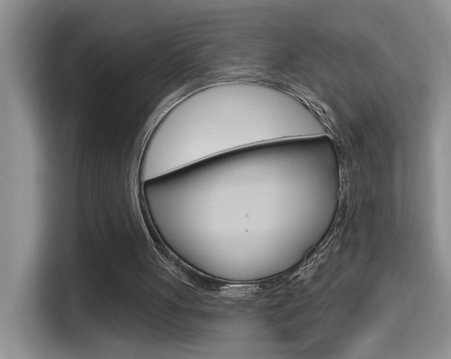 X0000114650051200910201009