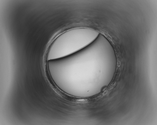 X0000114650053200910201009