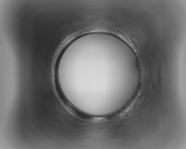 X0000114650055200910201009