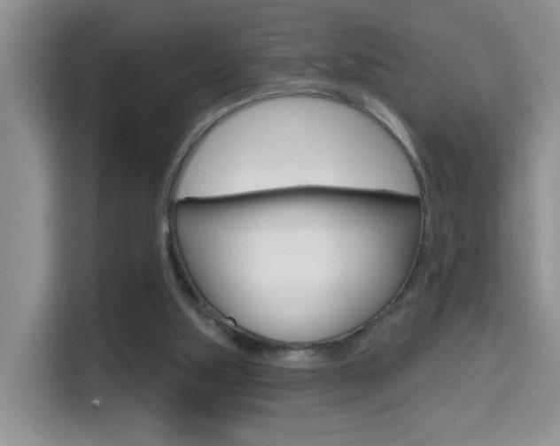 X0000114650059200910201009