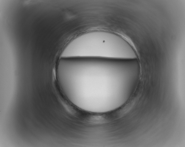 X0000114650061200910201009