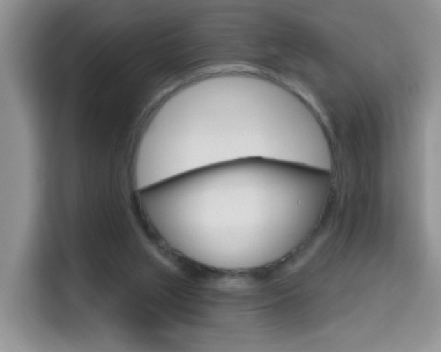 X0000114650063200910201009