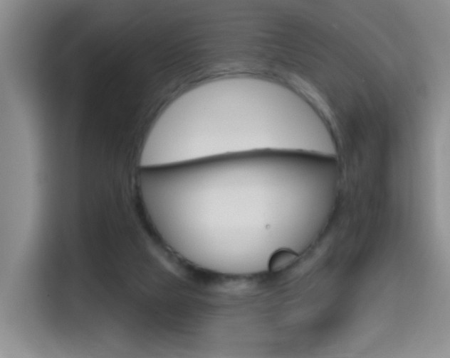 X0000114650065200910201009