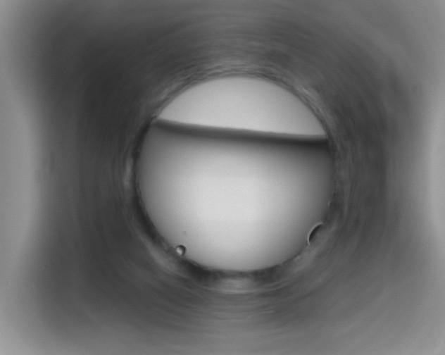 X0000114650066200910201009