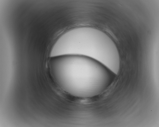 X0000114650068200910201009