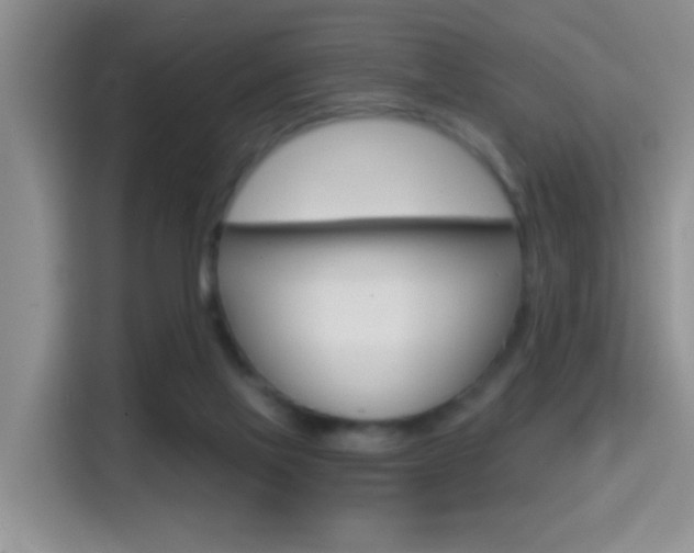 X0000114650069200910201009