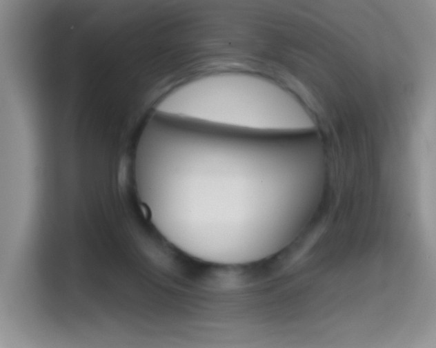 X0000114650071200910201009