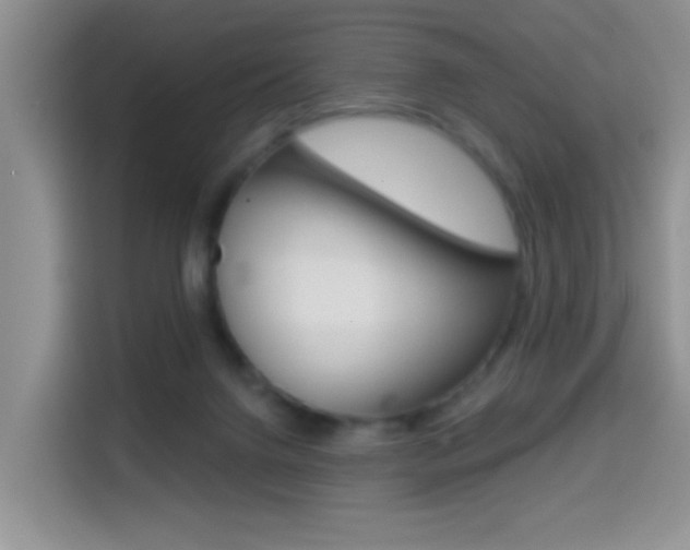 X0000114650072200910201009
