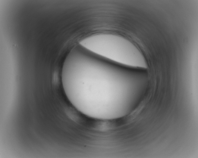 X0000114650074200910201009