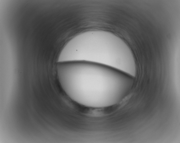 X0000114650078200910201009