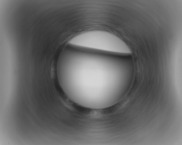 X0000114650080200910201009
