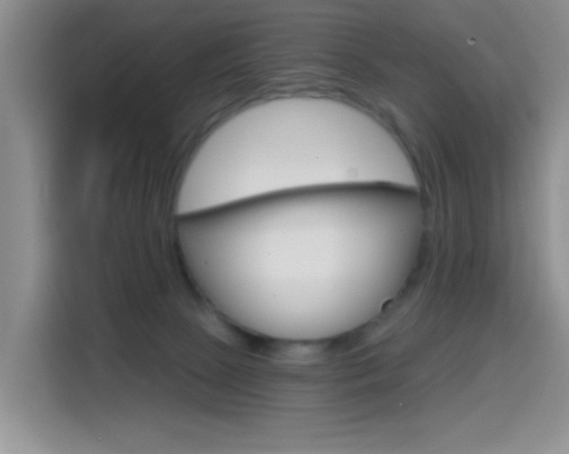 X0000114650081200910201009