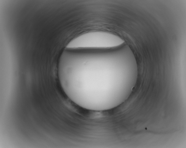 X0000114650083200910201009