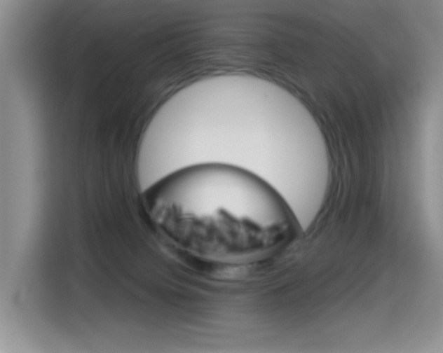 X0000114650084200910201009