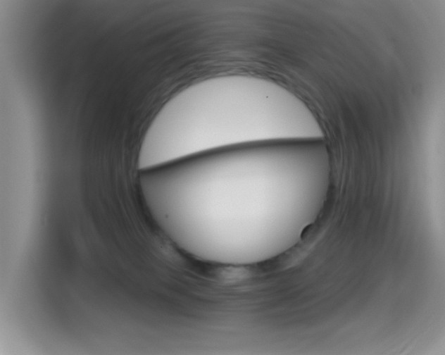 X0000114650085200910201009