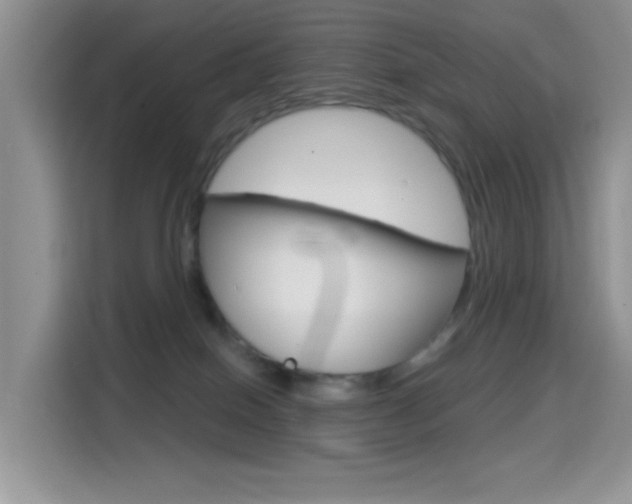 X0000114650086200910201009