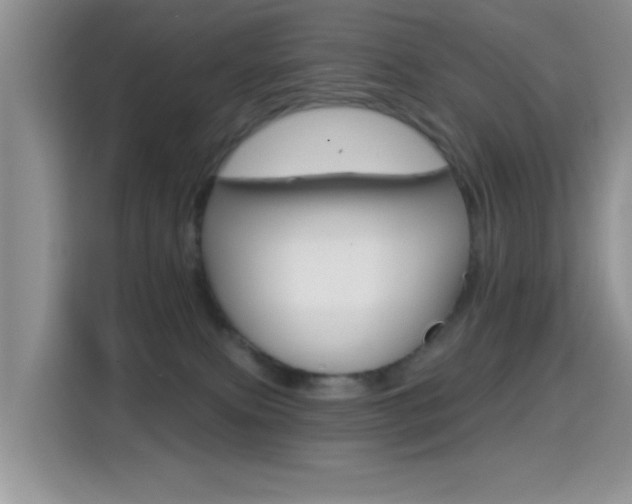 X0000114650087200910201009