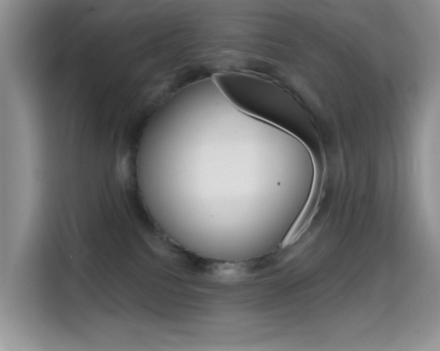 X0000114650088200910201009