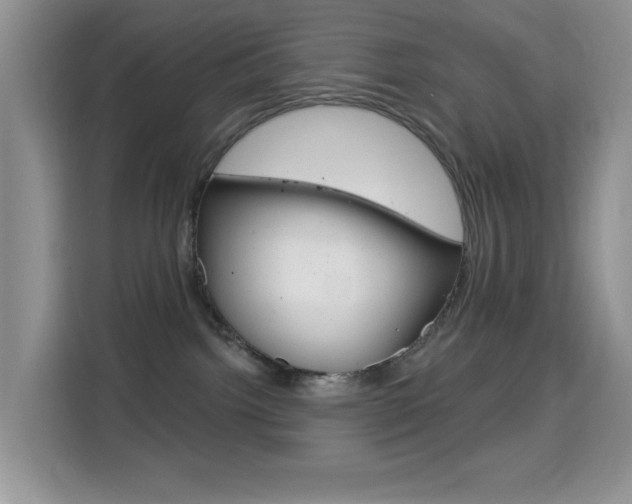 X0000114650092200910201009