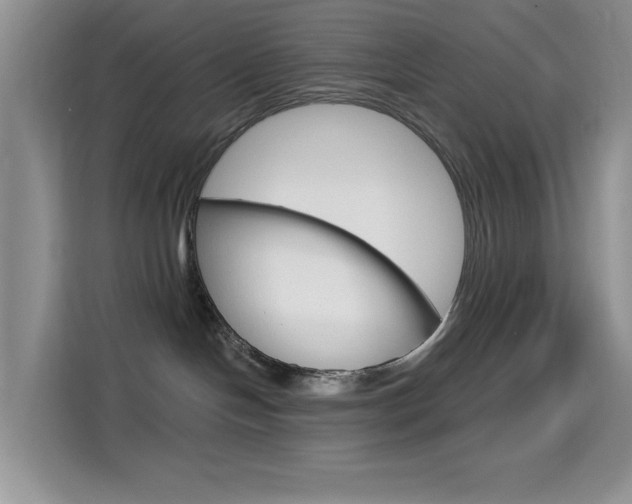 X0000114650094200910201009