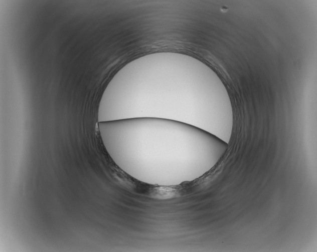 X0000114650095200910201009