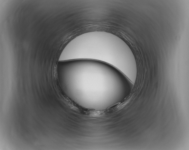 X0000114650096200910201009
