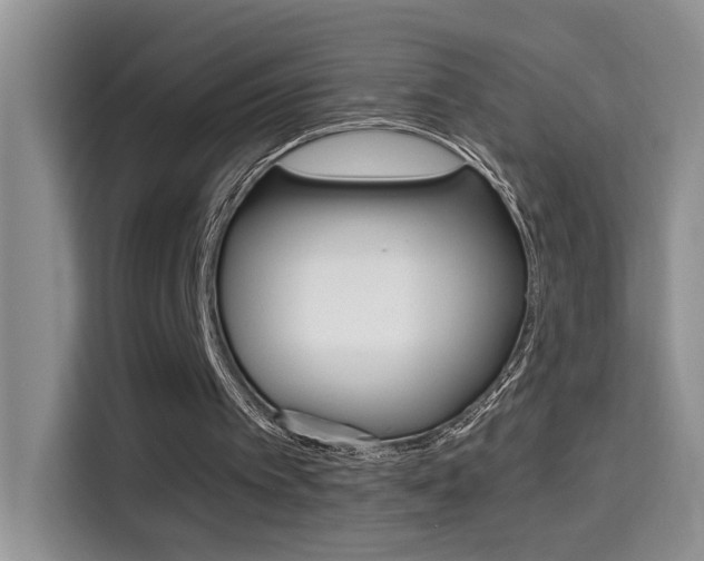 X0000114650097200910201009