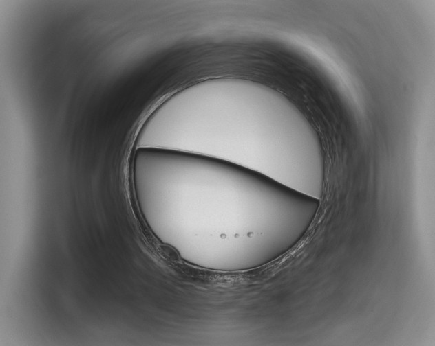 X0000114650099200910201009